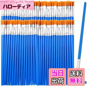 yzDFsucces M GM 50{Zbg 16.5cm ޕM ʕM vf h ʉ G AN yCg