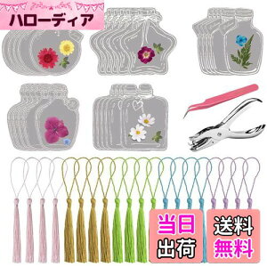 DELUXEFOX Lbg 20Zbg hCt[̂   ԃLbg    ubN}[N  {g AW{  蒠p Ǐp[gp DIY