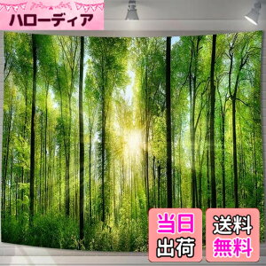 �y���������zU-SITU �^�y�X�g���[ �Ǌ|�� �Ǐ��� �X ���� �ъ� ���R�i�F �I�V���� �w�i ���@�\ �z�|�X�^�[ �C���e���A ���͋C�]���i�T�C�Y�F����75cm x ��100cm�j�J���[�FGT0107SA