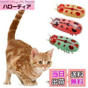 KASELIN d  3Zbg drL񂨂 dCybĝ  L ߋ lV QԂ@\ Cat'sbug! ĂƂ ~jdqJugV LpC^NeBuEgC