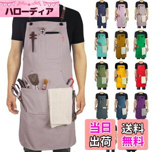 yz[Stenffy] GvARbgLoXA}`|PbgANXbNdʒ߃GvAo[xL[AJtFALb`AGAHAA[eBXgATCYM