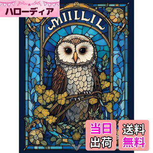 yzReofrey _Ch̊G _ChA[g NXXeb` Lbg tNE, Lbg Sʓ\t^Cv r[YA DIY |Lbgz[ Xg CXg