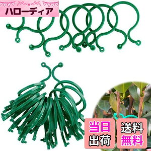 yzUNbv | Nbv AT|[gNbv xNbv oh ̐AT|[gO |p֗Nbv U T|[g ږ؂ 鐫A̗U ʕ