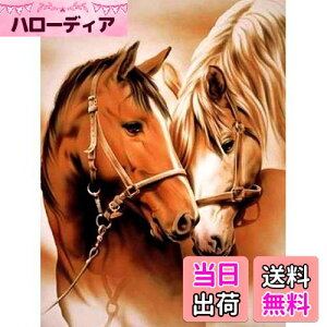 yzReofrey _Ch̊G n, _ChA[g NXXeb` Lbg , Lbg Sʓ\t^Cv r[YA DIY |Lbgz[ Xg CXg[ 