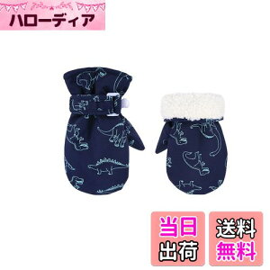 yz[Tidyworm] xr[    ~ Ԃ  ~g h h V LbY  O[u j̎q ̎q qp ΍ ʉ ʊw AEghA (lCr[, 6`2)