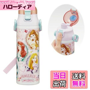 yzXP[^[(Skater) qp XeX   580ml fBYj[ vZX 24 qɗDyʃ^Cv ۗp waterbottle X|[c{g  LbY q ǂ r