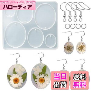 【送料無料】5WYOUKE 楕円形 イヤリングモールド シリコンモールド レジン モールド 楕円 イヤリング 金具付き 穴あけ サイズ違い エポキシ樹脂 手作り ペンダント ジュエリーモールド ピアス