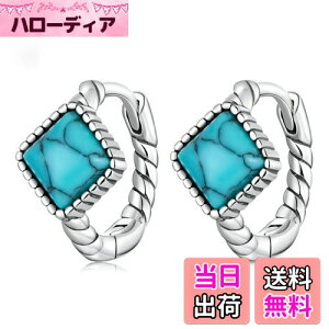 yzRockyu sAX fB[X  ꂢ Vo[925 ` 􉽌` gR ^[RCYsAX ^ cCXg t[vsAX h l p ␻ AM[Ή t