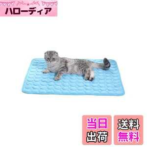 yzYFFSFDC ybg Ђ}bg  L N[}bg 40×50cm  Ђ p }bg  M M΍ ڐG⊴ p Lp xbh ObY (u[)