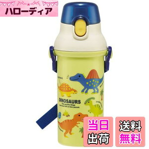 【送料無料】スケーター(Skater) 水筒 ディノサウルス ピクチャー 480ml 子供用 男の子 抗菌 プラスチック製 日本製 PSB5SANAG-A