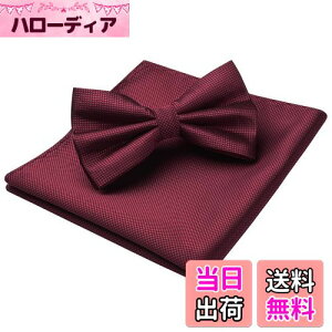 yz[HISDERN]  lN^C Y  `[t Zbg yCY[  n {E^C ԕ uh v[g BR-01