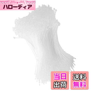 yzDFsucces ^Ot@Xi[ [vbN 1000{ lD ɕ֗ [vs vX`bN Xܗp e[v  ^O Ɩp mp (, 18cm)