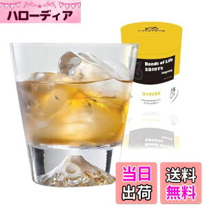 yzLazysong xmROX ECXL[ OX bN OX uf[OX xmR ^u[ OX KXOX ̓ NA̖ 256ml