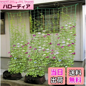 yzy΂̃J[e낤z͔|lbg  lbg ؗU 10cmp 1.8m*2.7m lt[vt S[ w`}  J[e c ؉ |pi 