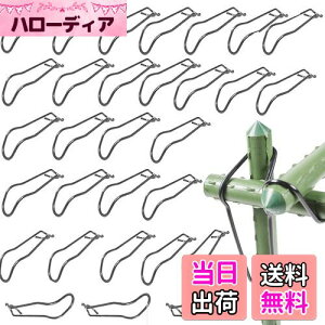 yzBenRan ؉NXoh 30{ | x 16mm 20mm ؉ _ xŒ WCg p[c (A)