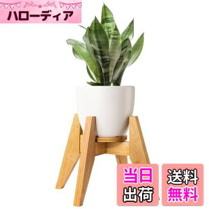 yzt[X^h Yangbaga X^h | Ƒ O  K[fjO ߉\ ő׏d30KG