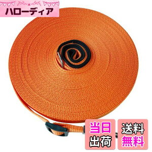 yzp[h O [v  ^E^E^p PEp U Ro ɕ iC v  WP[u (10m, IW)