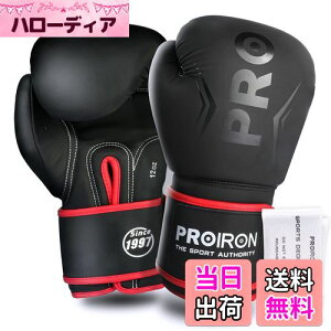 �y���������zPROIRON �{�N�V���O�O���[�u 12oz �{�N�V���O�p�O���[�u �p���`���O�O���[�u ���� �ϋv�������� ���K boxing gloves �����e�i���X�o�b�O�t�� 1�N�Ԃ̕ۏ�
