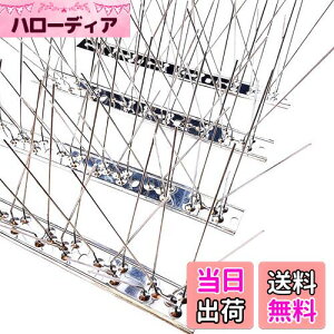 yzONESORA  悯 100%XeX o[hs ϋv y 3mz 悯 XpCN 悯 R LhS JX悯 ̃tQ΍  x_ J[|[g  Ԍ A