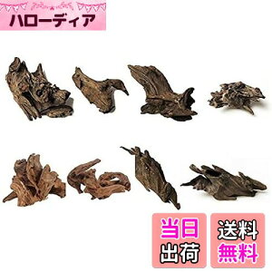 yz8 كVN R GCuؐ̑ i 8`10cmj