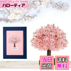 yzKesote bZ[WJ[h  ̃J[h |bvAbvJ[h o^C    t