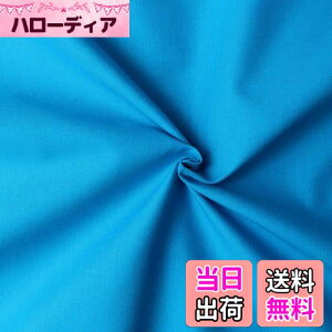 yz{Rtf(Nippon Chuko) GCeBXNGA n n 100% V[eBO ^[RCY u[n Ж108cm×50cmؔJbg KD4630-247-50CM
