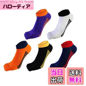 yz[fX] 5{w\bNX C 24-28cm Y ܖ{w\bNX rWlX\bNX VR z RۖhL X|[c\bNX 5Zbg