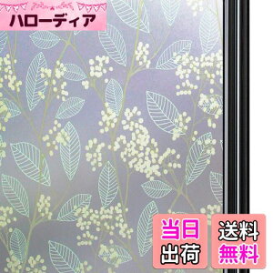 yzQualsen KXډBtB  ߂V[g ډBV[gKXtB XehOX V[ œ\Ă͂ O猩Ȃ UVJbg Uh~(60 x 200 cm, 