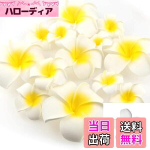 yzYesallwas wA Nbv s vA  7cm 20Zbg Ԃ̂  wA Nbv s vA   DIY  p[eB[p t ʐ^Be