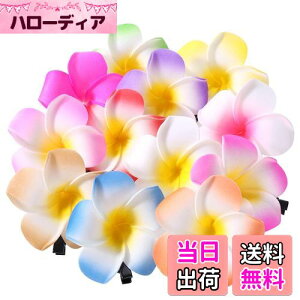 yzFrcolor  wAs wANbv  vA wAANZT[ wANbv nC  wbhhX 6cm 12F 24Zbg