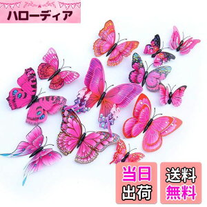 yzULIN  3D  EH[XebJ[ ǎV[  ʃe[v V[ rO ① CeA ǃV[  킢 EH[y[p[ |X^[ p[v