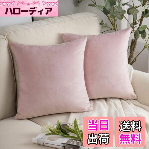 yzPhantoscope NbVJo[ xxbg 2Zbg Vv zcJo[ n Gǂ xA xr[sN 45×45cm