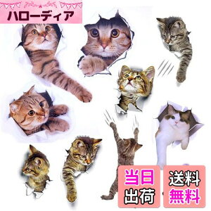 yzPazi EH[XebJ[ L   XebJ[ ˂ V[ 킢 3D ȒP DIY  \Ă͂  ǎ gC  Lb` CeA