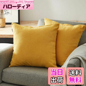 yzTopfinel NbVJo[ lۂ 45×45cm k  Ȗ n \t@w Jo[ zcJo[ CG[ 2ZbgiS10Fj