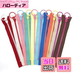 yzJt oCJ[ O t@Xi[ 10{ Zbg (15cm, ^CvE)