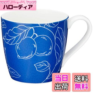 yzNARUMI(i~) }OJbv fCvX(Day+) 340cc u[ ԕ 킢 傫 dqW I[u H@Ή Mtg 41284-2889