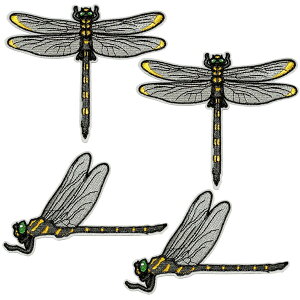 yzLe pumo Ij} by AC  A  g{hJ hJby ACby by ̑ FFFAO[AO[AubNATC