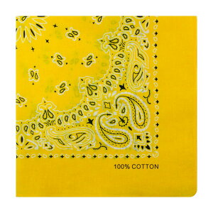 yz[kakatrend] o_i yCY[ Op l 100%  nJ` Rbg ΂񂾂 jZbNX hD[O 唻 Y 55cm×55cm FFCG[ATCYF55cm×55cm