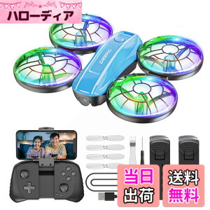�y���������z�h���[�� 100g���� Holyton �q������ D33 �F�F�u���[(�J��������)