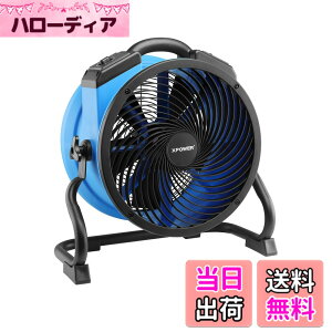 �y���������zXPOWER���^���[�^�[���@�\�v���t�F�b�V���i����C�z�t�@���A�t���A�u�����[�A�����t�@�� �F�FBlue�A�T�C�Y�FFC-300