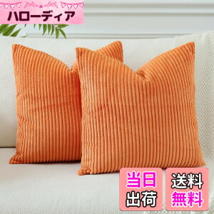 �y���������zOtostar �N�b�V�����J�o�[ xcm �k�� 2���Z�b�g �R�[���e�� �X�g���C�v ������� ���� ���_�� �t�@�X�i�[ �C���e���A �\�t�@�[�p�N�b�V�����J�o�[ �F�F�I�����W�A�T�C�Y�F50cmx50cm(