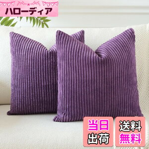 �y���������zOtostar �N�b�V�����J�o�[ xcm �k�� 2���Z�b�g �R�[���e�� �X�g���C�v ������� ���� ���_�� �t�@�X�i�[ �C���e���A �\�t�@�[�p�N�b�V�����J�o�[ �F�F�i�X���A�T�C�Y�F50cmx50cm(2 