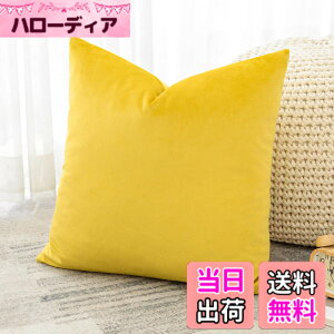 �y���������zOtostar �N�b�V�����J�o�[ 45x45cm 1�� ���n ������� ���� �x���x�b�g ���_�� �W�b�p�[�� �C���e���A ���������p �����p�s���[�J�o�[ �F�F�C�G���[�A�T�C�Y�F45cmx45cm(1 ���g)