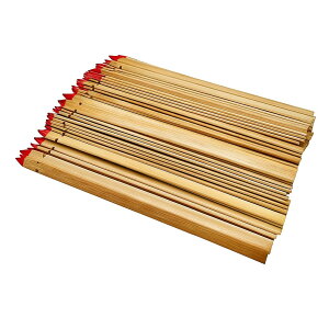 yzspeedmao ݂_ 100{ [[ܕt] Cxg p[eB[  w ȒPIObY