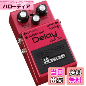 �y���������zBOSS/DM-2W Analog Delay �Z Waza Craft �{�X �F�F��,��