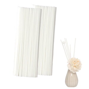 yzYANYULI ^XeBbN [hfBt[U[p [hXeBbN 23cm lH@ۑf   胊[hXeBbN tB lߑւ p GbZVIC It