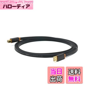 �y���������zNEO by OYAIDE Elec d+ USB class A rev2 2.0m USB�P�[�u��