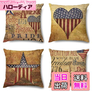 �y���������zVIEAURA �N�b�V�����J�o�[ 45x45cm �A�����J�� 4���Z�b�g ���B���e�[�W�� ���l�� ���z�c�J�o�[ �֎q �\�t�@�[ �x�b�h �I�t�B�X �ԓ� �I�V���� �C���e���A �G�� �F�FTYPE-1�A�T�C�Y�F45c
