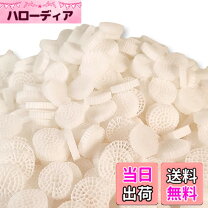 楽天市場】池 濾過器の通販