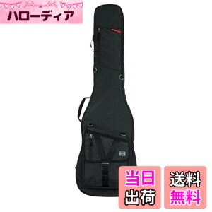 �y���������zGATOR �Q�[�^�[ �G���L�x�[�X�p �M�O�o�b�O Transit Series GT-BASS �y�������K�i�z �F�F�u���b�N